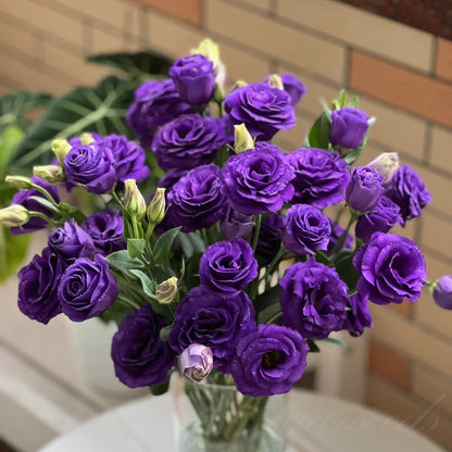 CILIFER® 🔥🌺Low-maintenance Eustoma Flower Seeds🌈