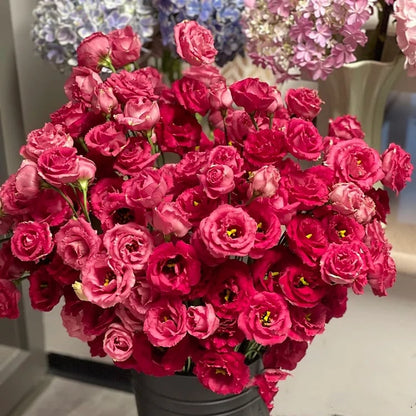 CILIFER® 🔥🌺Low-maintenance Eustoma Flower Seeds🌈