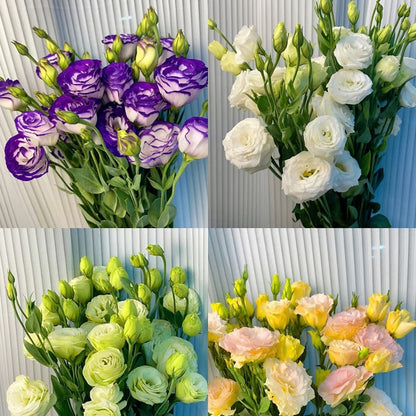CILIFER® 🔥🌺Low-maintenance Eustoma Flower Seeds🌈