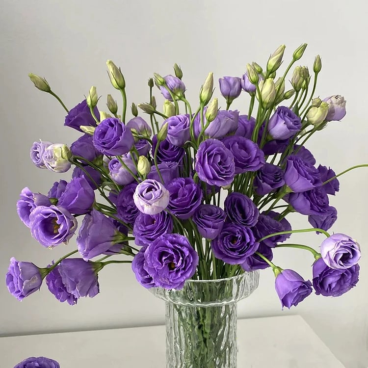 CILIFER® 🔥🌺Low-maintenance Eustoma Flower Seeds🌈