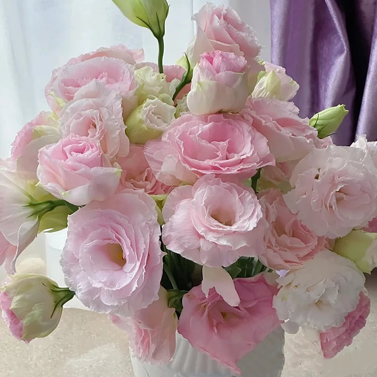 CILIFER® 🔥🌺Low-maintenance Eustoma Flower Seeds🌈